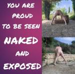 Pigslave67