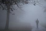 Foggie
