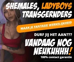 Stiekem flirten met een shemale!